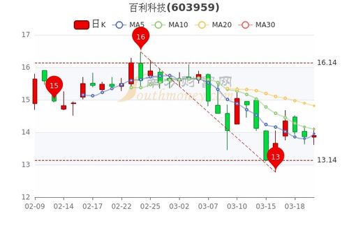 佰利联引领行业变革，共创美好未来，最新消息揭秘