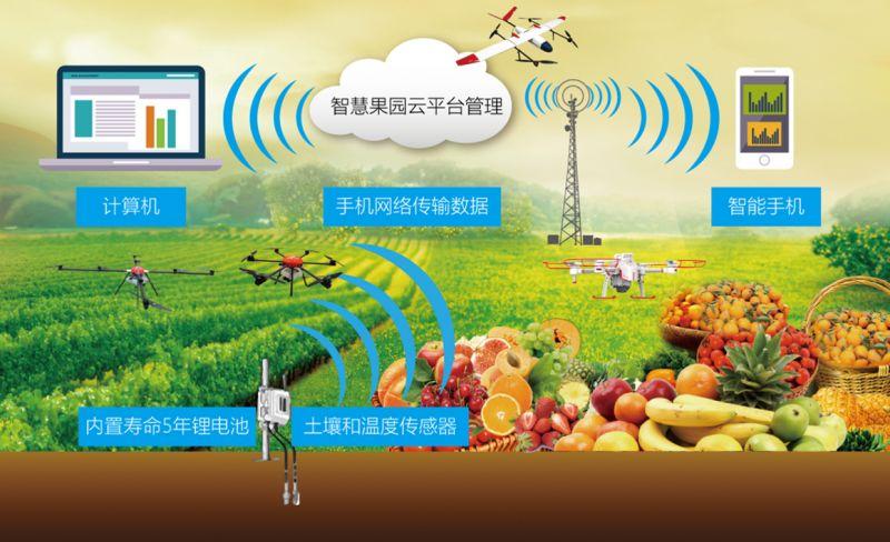 闪电贷款app最新版本潜在风险解析